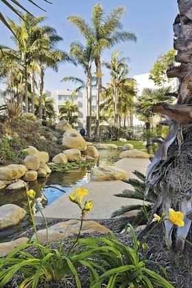 Gallery - Ventura Beach Marriott