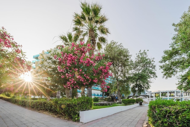 Gallery - Calypso Beach Hotel