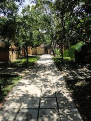 Gallery - Jetwing Ayurveda Pavilions