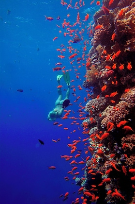 Gallery - The Breakers Diving & Surfing Lodge