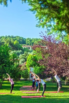 Gallery - Natur-Med Hot Springs And Health Resort