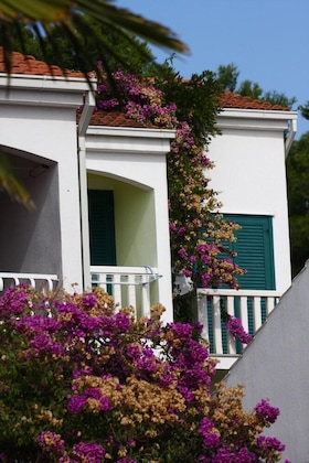 Gallery - Beach Apartments Lavica