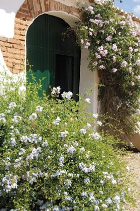 Gallery - Monte Da Corte Ligeira