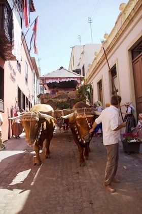 Gallery - Hotel Rural Orotava