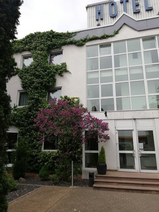 Gallery - Arthotel Ambassador Wiesbaden