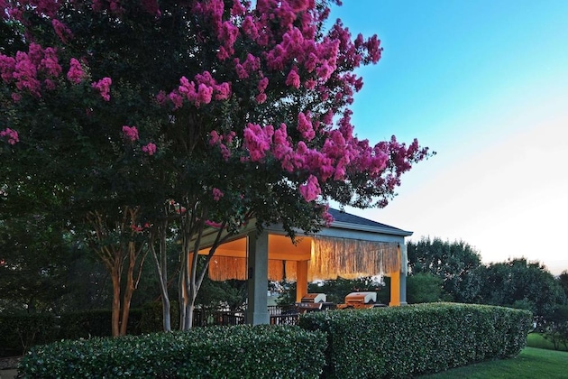 Gallery - Sonesta Simply Suites Dallas Richardson