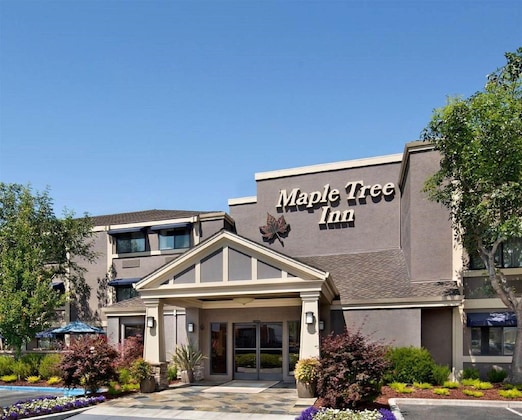 Gallery - Maple Tree Inn
