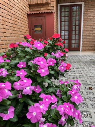 Gallery - Hotel Sao Sebastiao Da Praia
