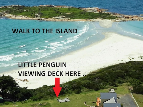 Gallery - Diamond Island Resort & Bicheno Penguin Show