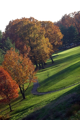 Gallery - Sheraton Reston Hotel