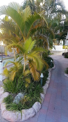 Gallery - Outrigger Burleigh