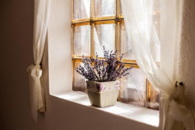 Gallery - Hotel Bacchus