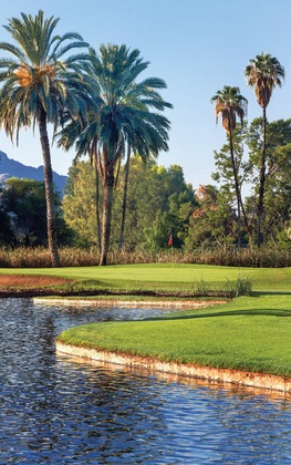 Gallery - Orange Tree Resort