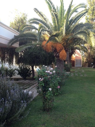 Gallery - Hotel Kyriaki