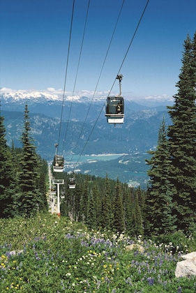 Gallery - Fairmont Chateau Whistler