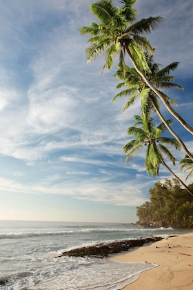 Gallery - NIVA Labriz Seychelles