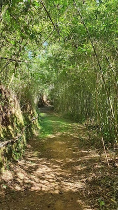 Gallery - Quinta Da Paz Resort