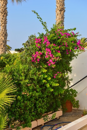 Gallery - Golden Dream Apartments