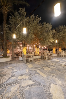 Gallery - Flamingo Hotel & Spa - Pet Friendly