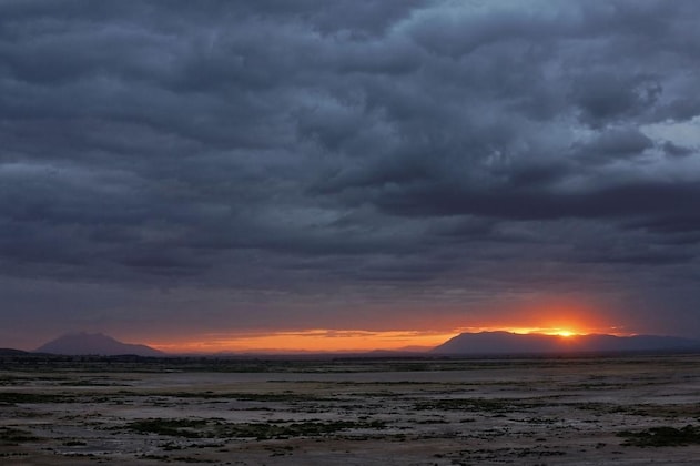 Gallery - Amboseli Serena Safari Lodge