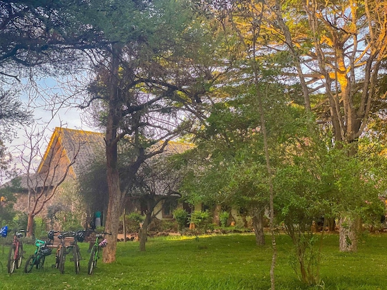 Gallery - Kilaguni Serena Safari Lodge