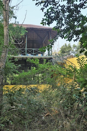 Gallery - Jim's Jungle Retreat