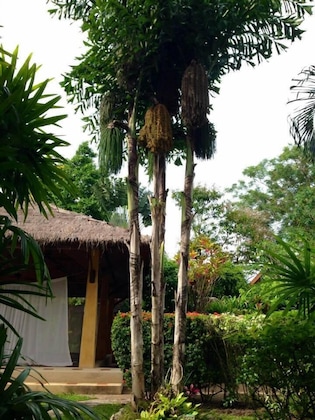 Gallery - Palm Garden Resort