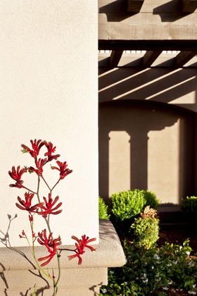 Gallery - Hampton Inn & Suites Arroyo Grande Pismo Beach Area