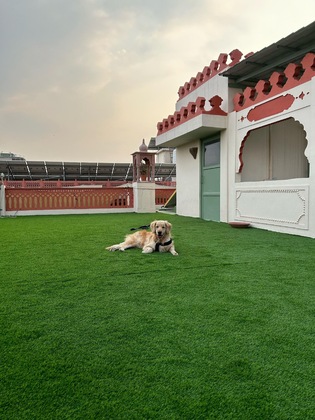 Gallery - Suryaa Villa - A City Centre Hotel