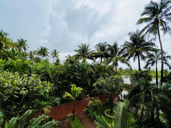 Gallery - Riva Beach Resort