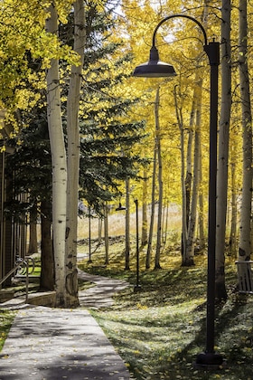 Gallery - The Timberline Condominiums