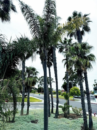 Gallery - The Pacific Inn