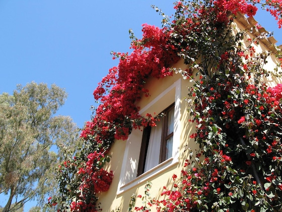 Gallery - Borgo Degli Ulivi Residence