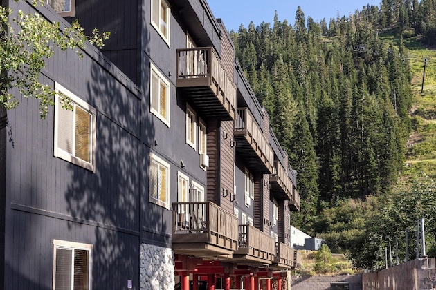 Gallery - Red Wolf Lodge At Olympic Valley