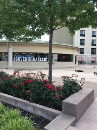 Gallery - Comfort Inn - The Pointe