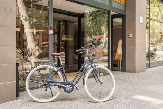 Gallery - Petit Palace Trencadis