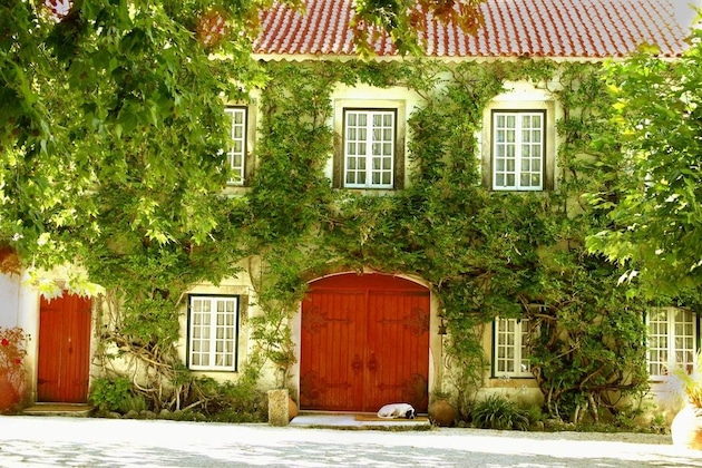 Gallery - Quinta Da Alcaidaria Mor
