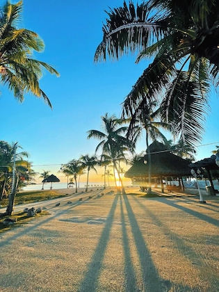 Gallery - Coconut Cove Resort And Marina