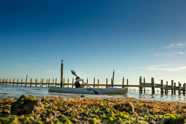 Gallery - The Caribbean Resort Royal Palm South
