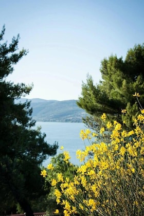 Gallery - Camping Villaggio Cerquestra