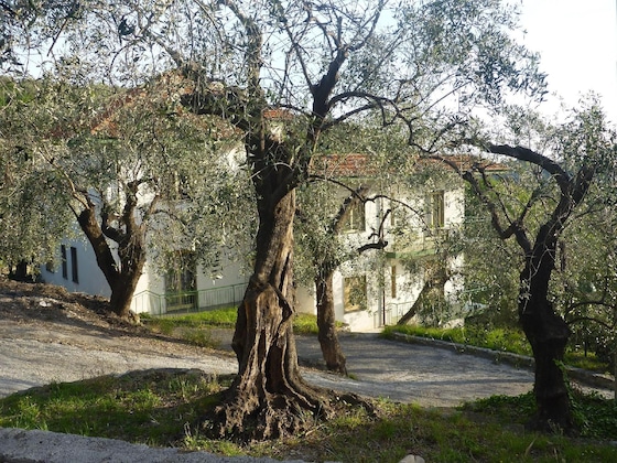 Gallery - Borgo Verde-Uliveto