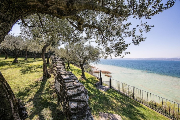 Gallery - Hotel Ideal