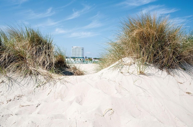 Gallery - Hotel Neptun