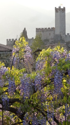 Gallery - Catullo