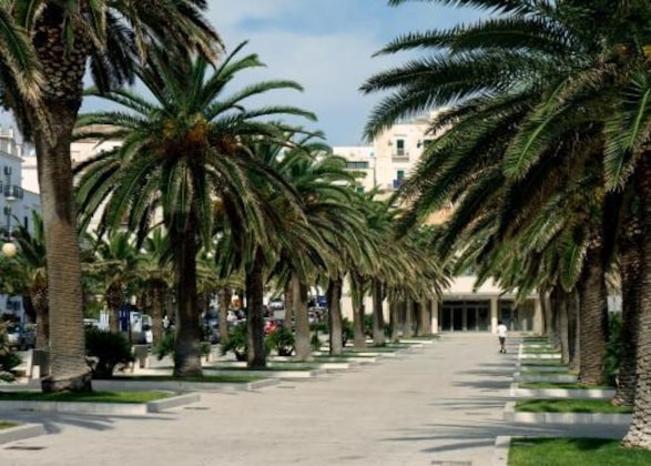 Gallery - Hotel Yria