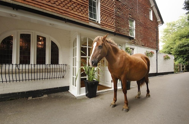 Gallery - Moorhill House Hotel