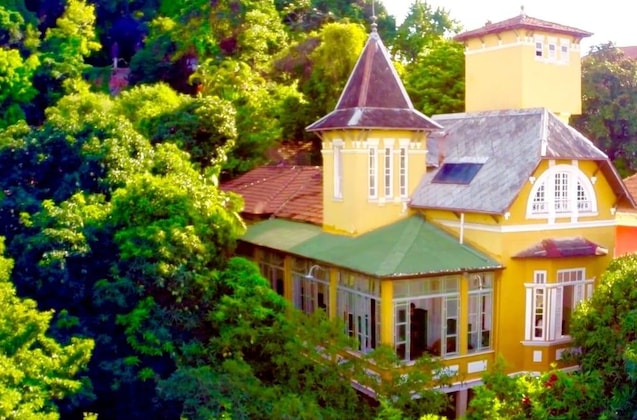 Gallery - Casa Amarelo par Robert le Héros