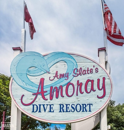 Gallery - Amoray Dive Resort