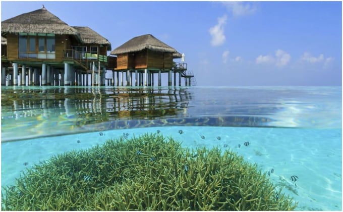 Gallery - Outrigger Maldives Maafushivaru Resort