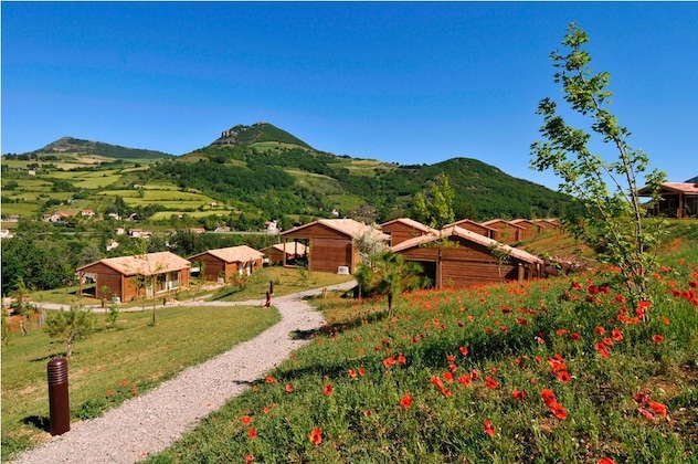 Gallery - Domaine de Saint Estève